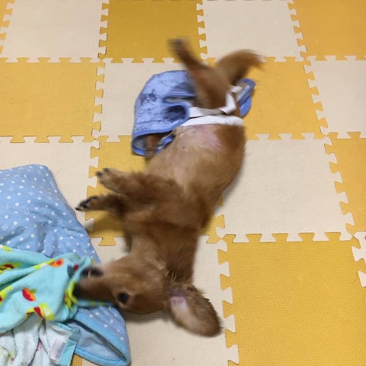 0ee65f28 f51b 4745 8c01 124977417a3d 1596030923531