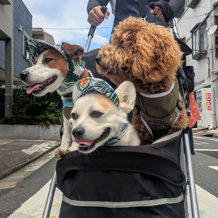 0ee671d8 de8a 4556 8ced 9b901ee3d14d 1753616948127