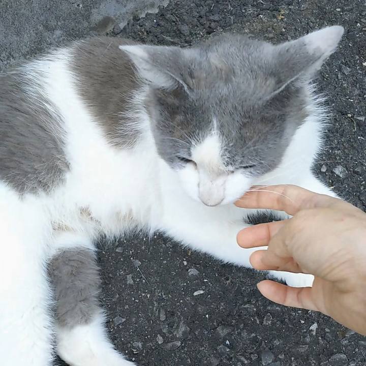 0ee678e4 03e8 4aa9 85c3 d1a5fa4caaa3 1561518208008