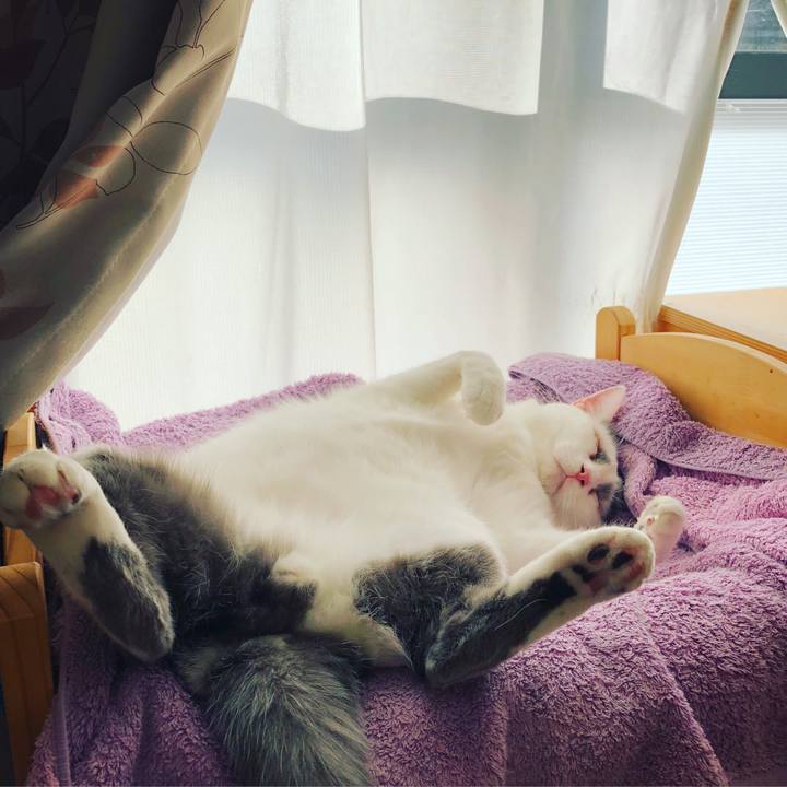 0ee69728 fe73 437a b508 ca3512994517 1513728185730