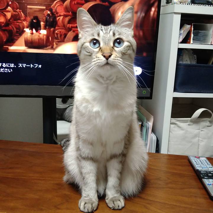 0ee74a95 e677 4461 a947 d4c5cf13d0da 1677754408123