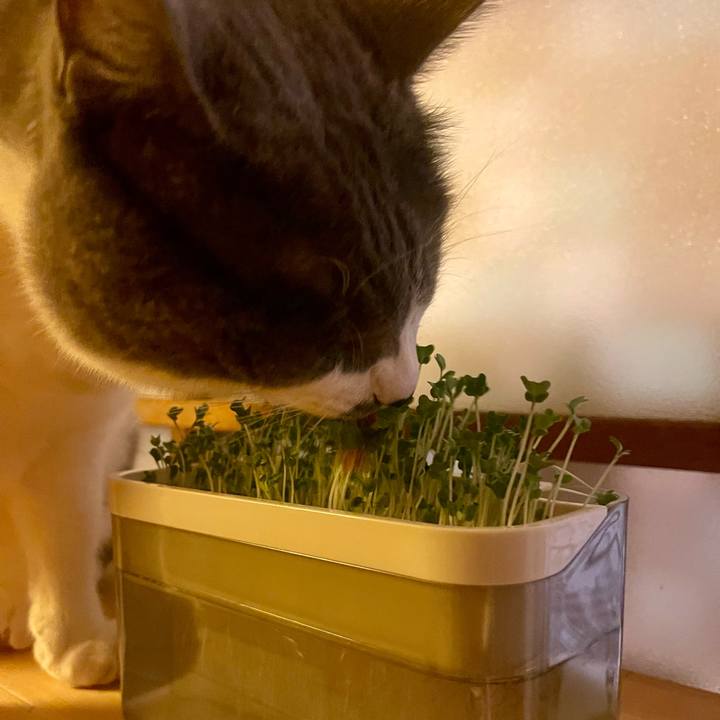 0ee75a8e 231b 4abd 8608 5181f659f2da 1747742847025