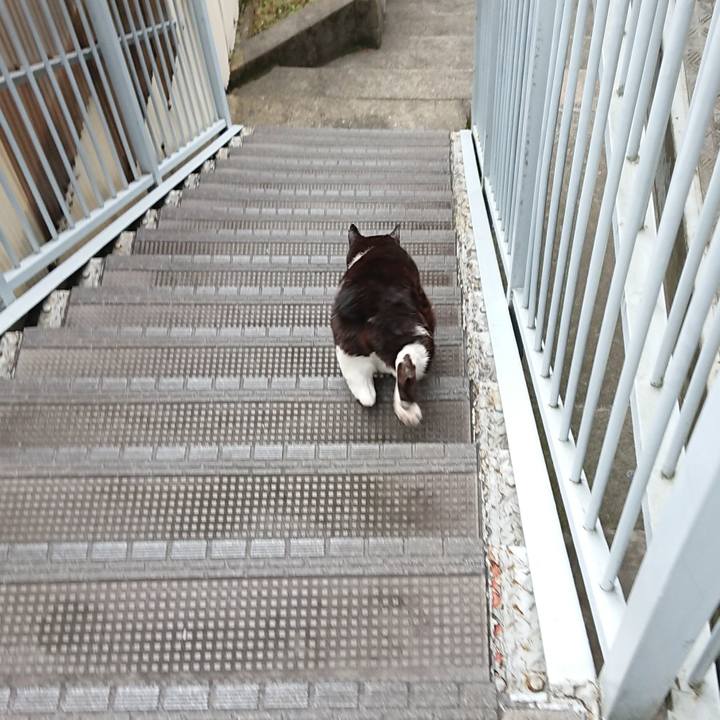 0ee76180 d8b3 4c06 8cf8 ee9e3b2fd290 1654939480757