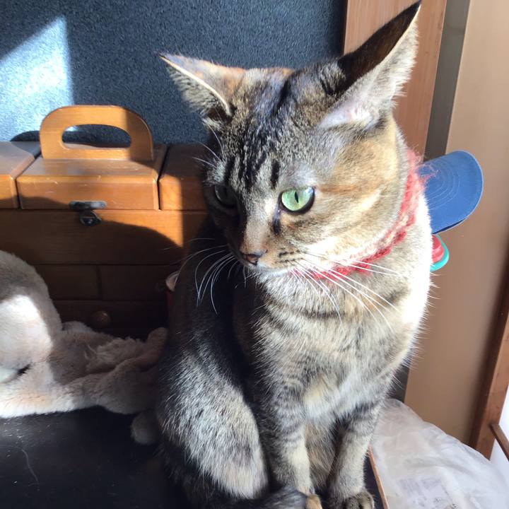 0ee78edc 7132 450b b2e9 17cc6c1859f4 1636342746168