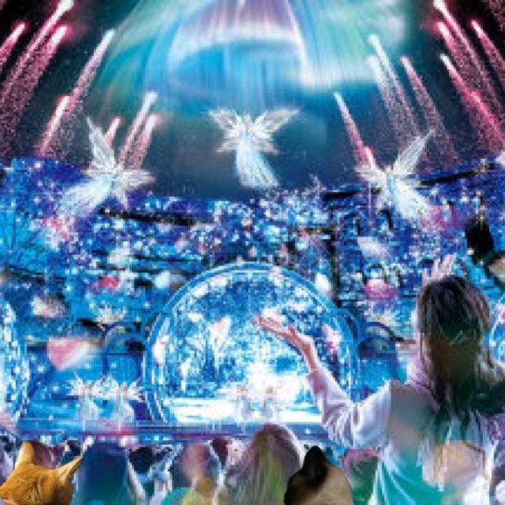 0ee7a0bd 278c 433c 9c63 cf771c035bb5 1573426403993