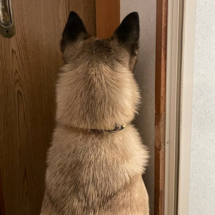 0ee7c16d 04cd 43ed 8e7d e9bb17150d92 1664280728589