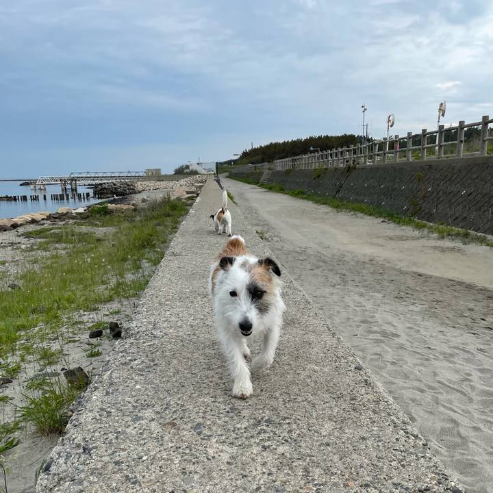 0ee7da8e c9c0 425a 99a2 b53183bab769 1622590241359