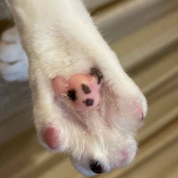 0ee7f2d3 10bb 4481 98a5 4c5432655c5c 1707650385112