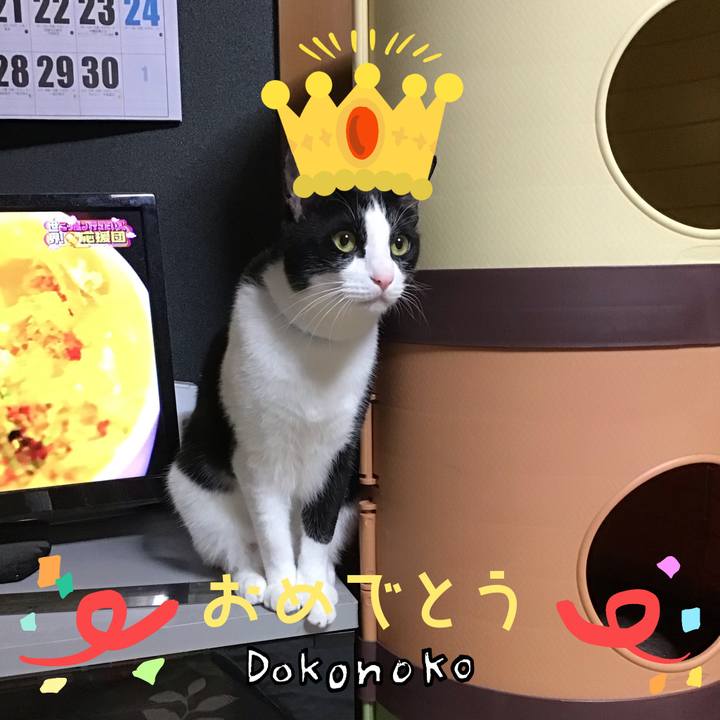 0ee7fedd 2a13 433e bd81 beba4e4800da 1685963599106