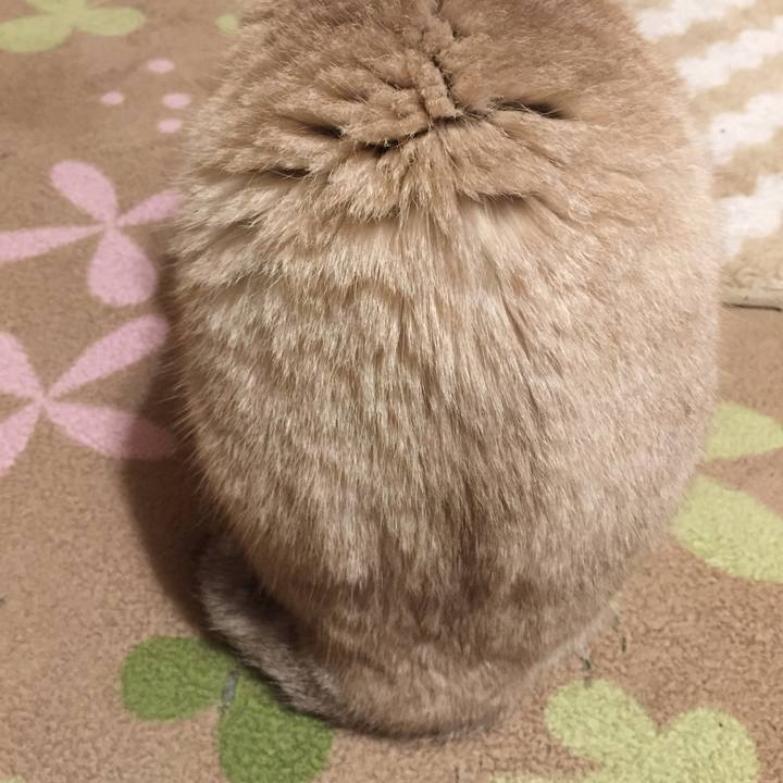 0ee80d5e 9ad1 4e3b a1ed 164fa1a6b136 1576448713251