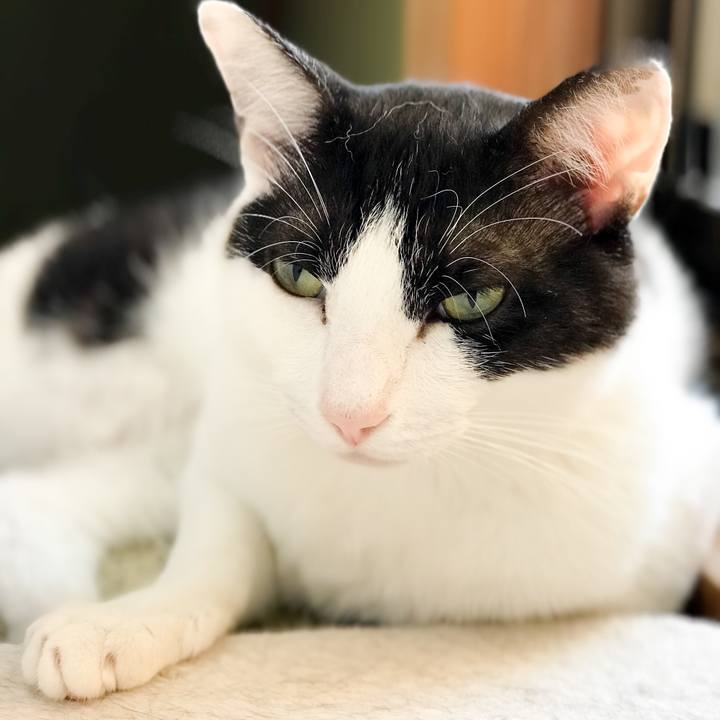 0ee8460f ed31 48b2 ae74 c200d71dcd70 1531966084353