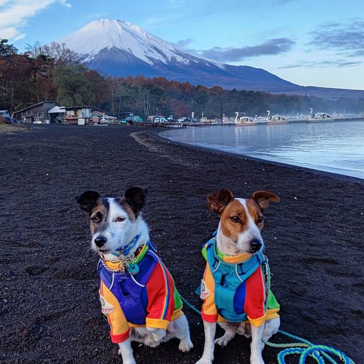 0ee84b9a 0a5b 4b75 8534 5163e9b4e471 1636239137124