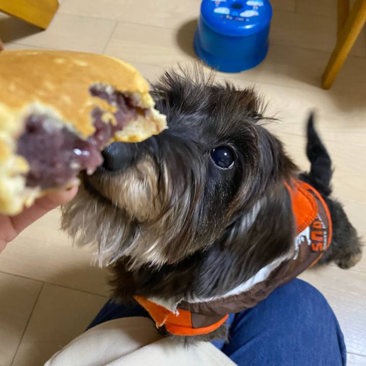 0ee85966 589e 405b 865a 85a6c98769eb 1609408059700