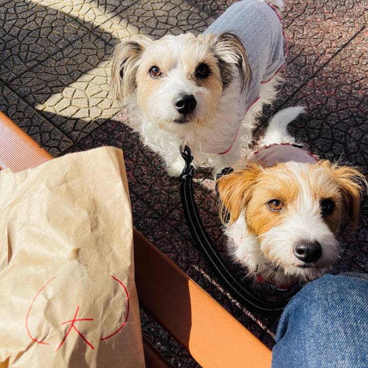 0ee85cea a83c 4cf8 874f 24014af14834 1769513006047