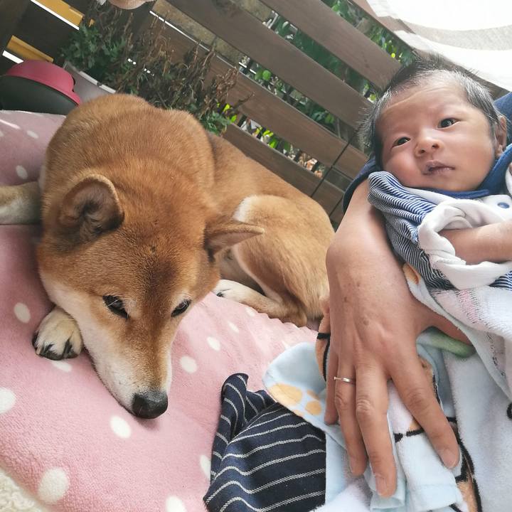 0ee86d10 2747 44f1 a5c8 fa15aa8a7679 1614913358406