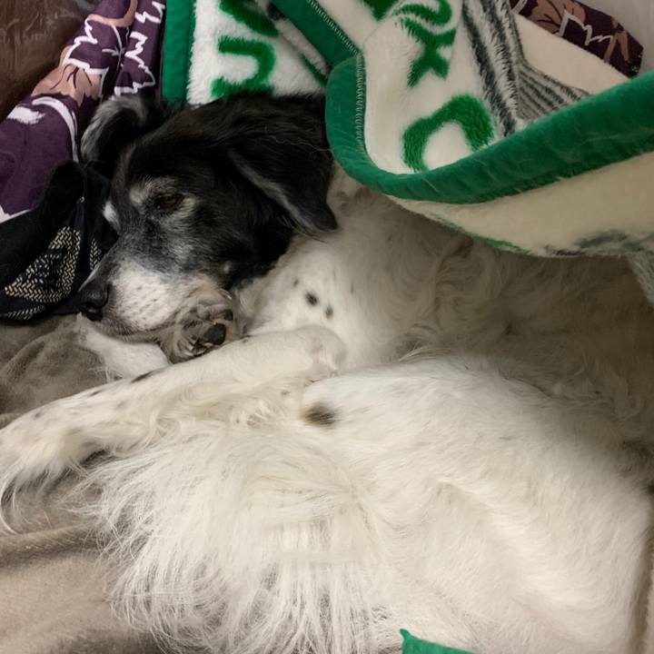 0ee89e8c b26c 4a0d bd06 9b82d6f2e9fe 1576759695705