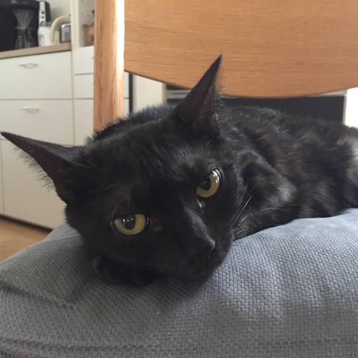 0ee8cce8 ccae 452a b38f 14a248384671 1507863865308