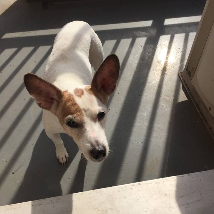 0ee8d52f ca1a 4d74 b843 59534963499d 1524378880613