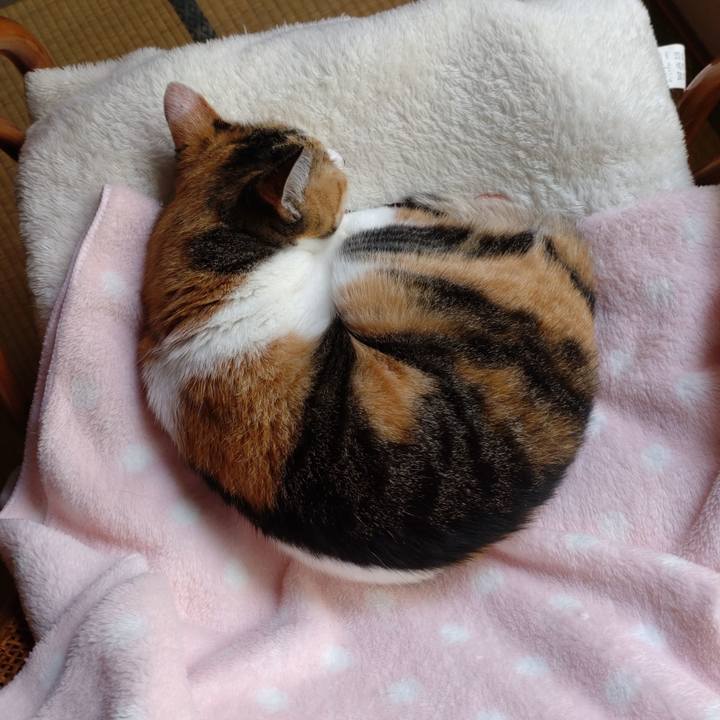 0ee8f04f 2a54 4fc0 b09e c33dd2c9242e 1632445011279