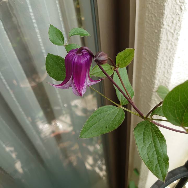 0ee8f7f8 96e6 4857 92a9 807970c27fea 1590378810665