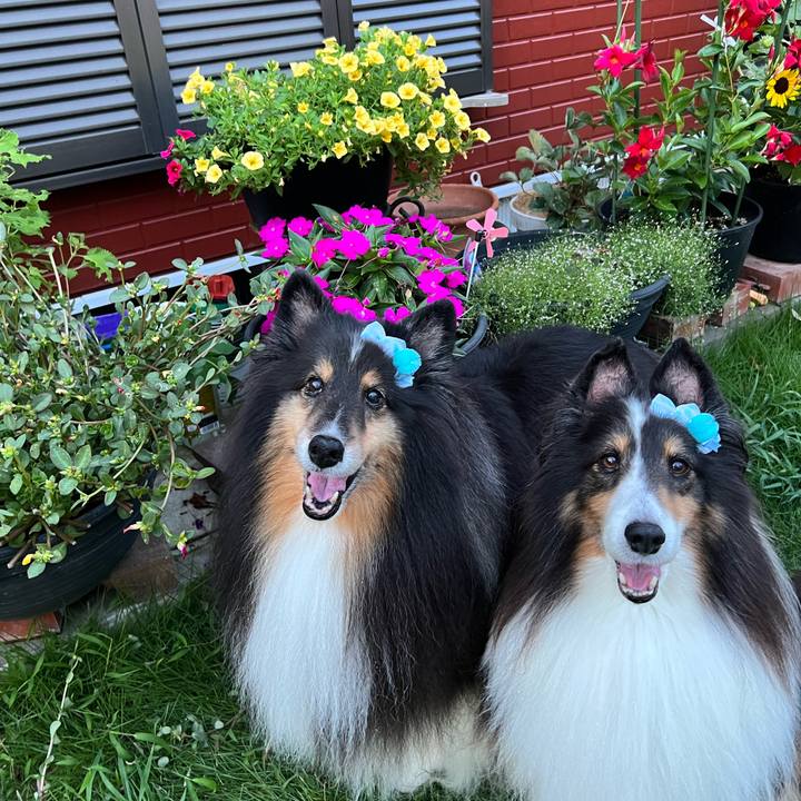 0ee90a02 ab45 439f a519 bafe202afa75 1692389417665