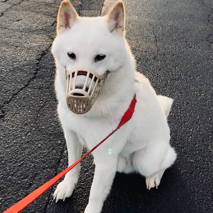 0ee90ef5 a5a8 4fbe 8ee9 4dd9e8b4e888 1570487126694