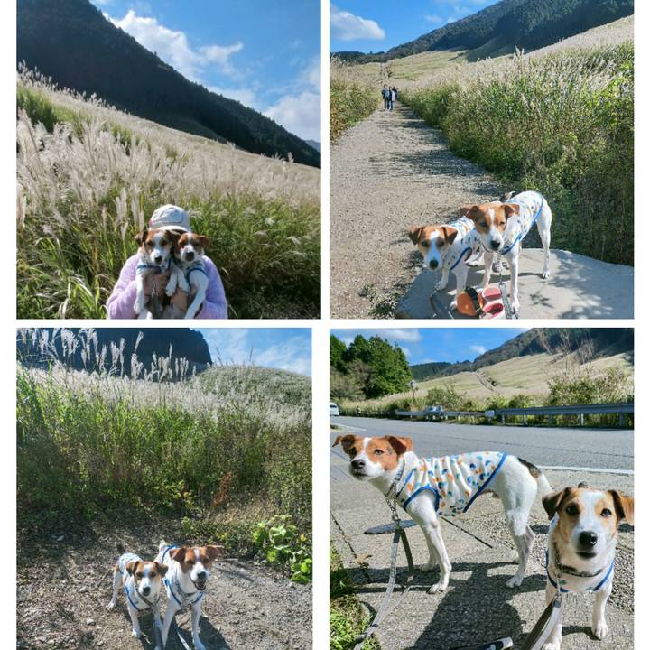 0ee984ac 5588 4533 b0b8 629cce6be51b 1761812125479