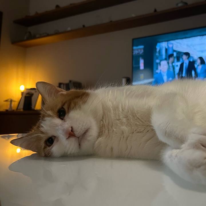 0ee9bd17 0316 4761 a19d 05e2fd1352a2 1763900420969