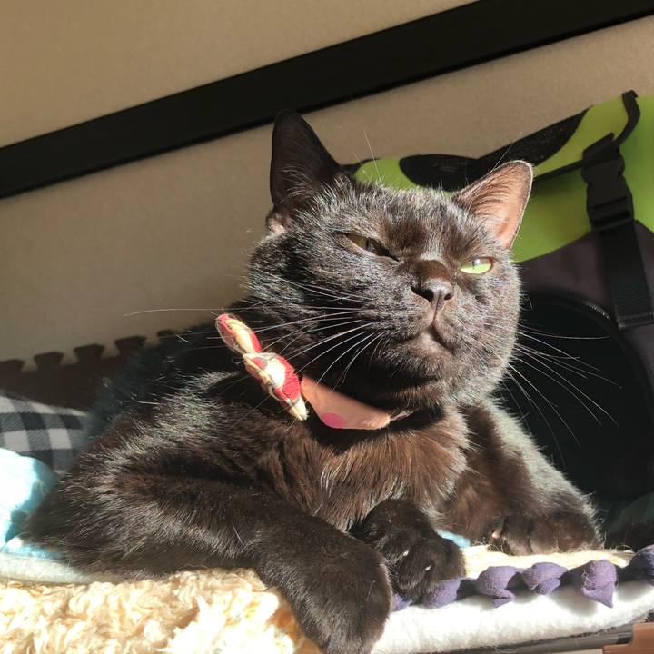 0ee9df67 a43d 44f1 9213 86e5bf137ebb 1602369920117