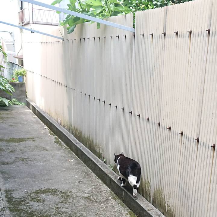 0ee9dfb3 eb14 4f25 afd9 369421c477b7 1628570651911