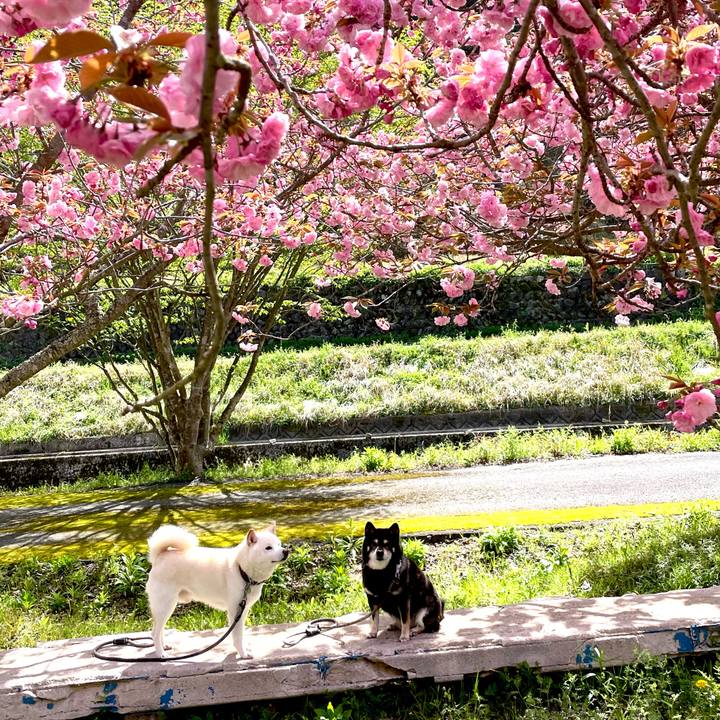 0ee9e6b2 8d35 46b9 84a3 49a41559cdba 1681351621038