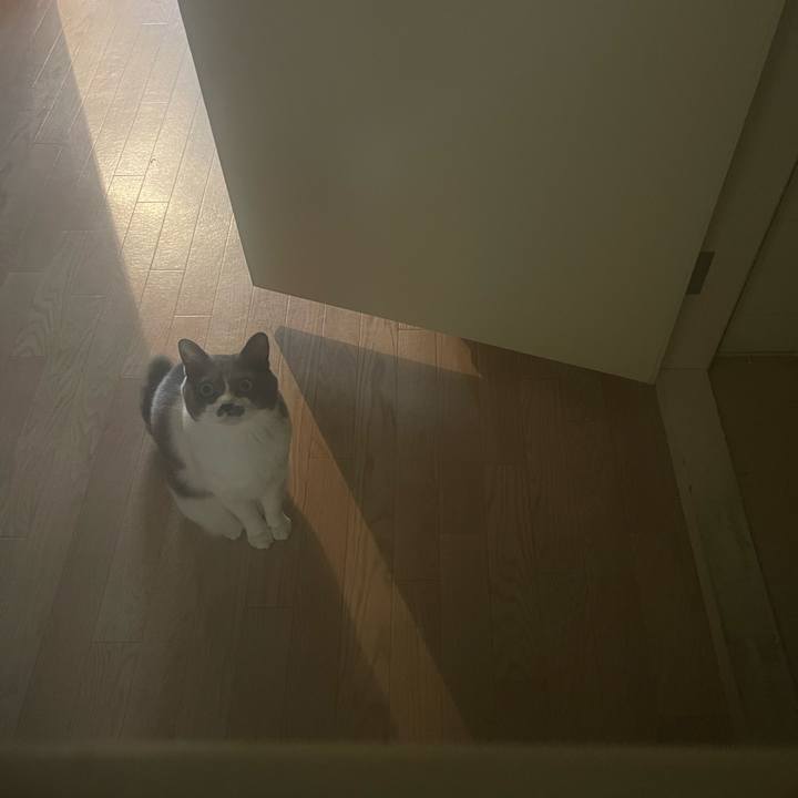 0ee9f1f7 b8d6 4de7 ad81 0371143873dc 1740718457241