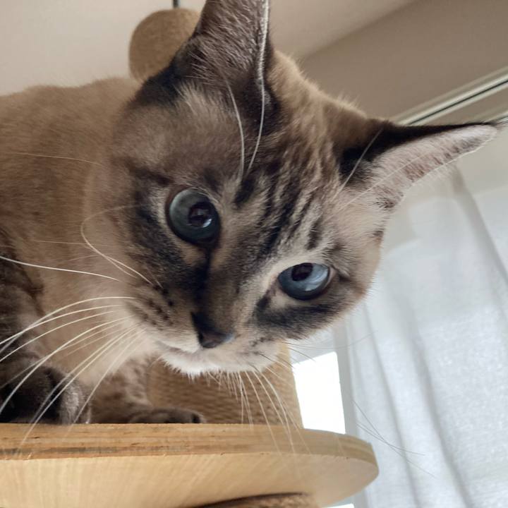 0eea08d5 bc0b 4e15 9dea 4f6392fcf227 1765680743669