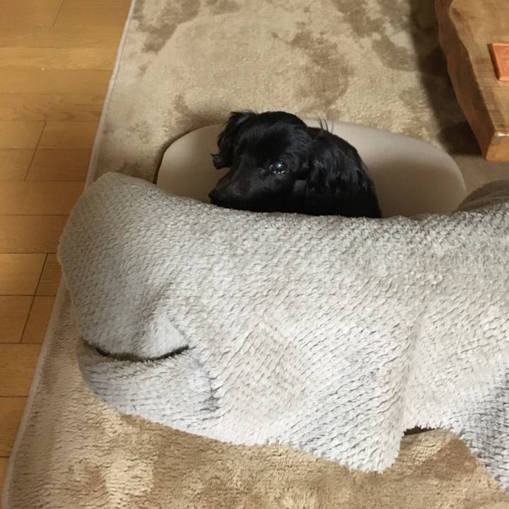 0eea148f 0a7d 49a1 9643 d8a9bed810cd 1543790346876