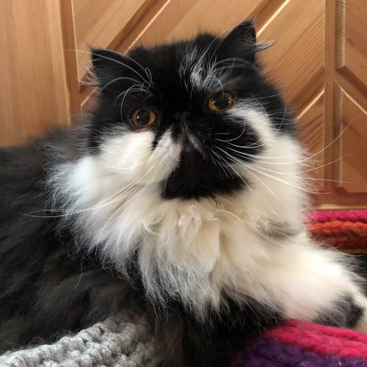 0eea1c5a 3618 44af 8361 1c54a9db5362 1587255256258