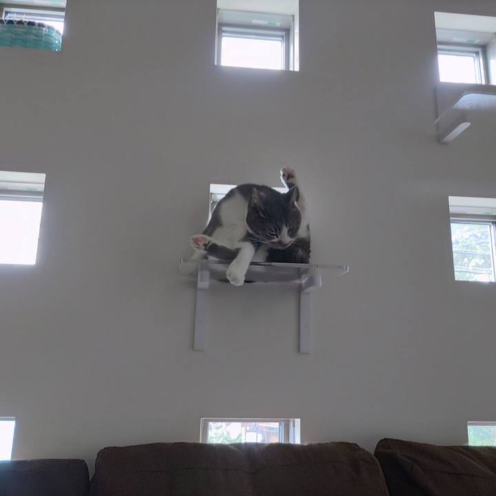 0eea2efc 47ab 47ed abbd a53cbfa462ae 1654688109342