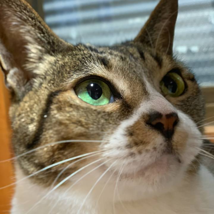 0eea322e 467b 4290 b7d6 bbd94d150fb2 1549673174415