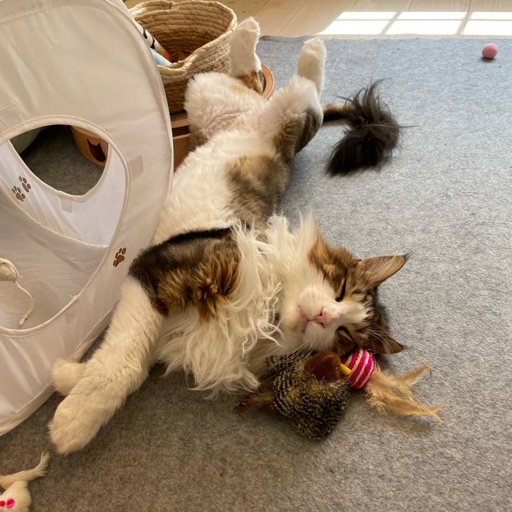 0eea5527 c138 4adb a145 90413bf33178 1689571645294