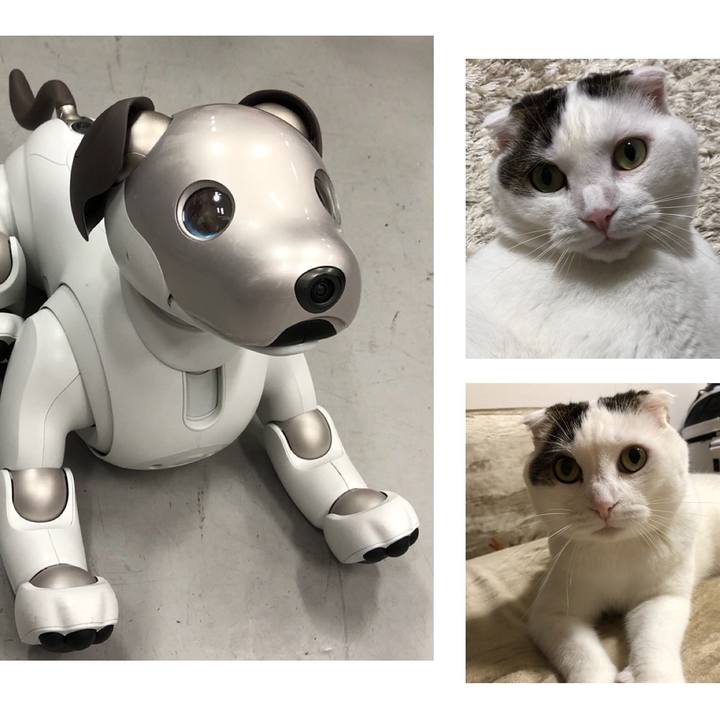 0eea5ece 207c 4989 afcc 262d93055714 1532129158286