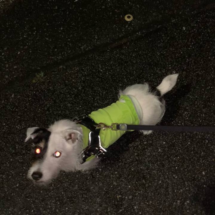 0eea8eec 4f8c 486e 9d38 73486b7da4e4 1721133699679