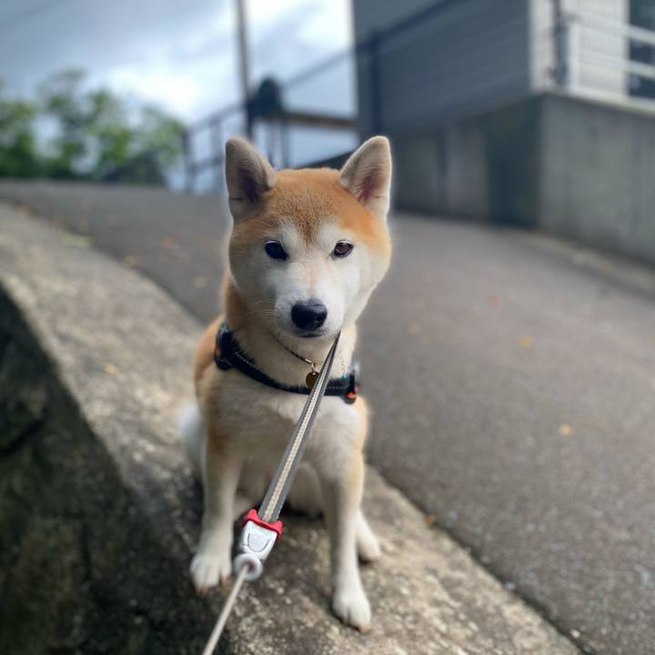 0eeabc39 bf1b 4ddc b55f 60352d0e7be7 1662023422595