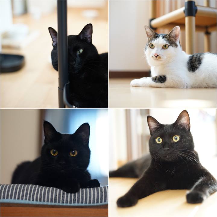 0eeac6f7 f518 4385 80ce dc53197210ad 1535587748277