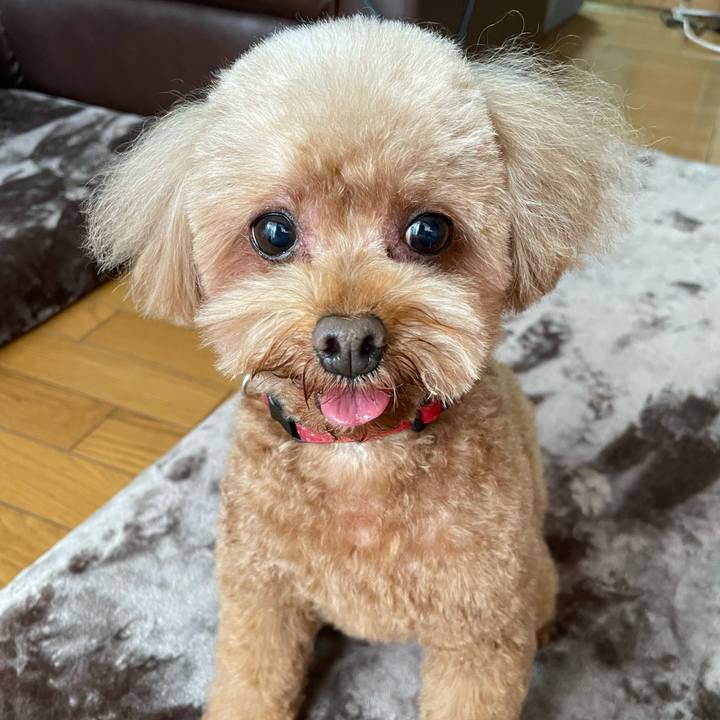 0eead444 6ba7 4ba7 81f3 613362a3fd3a 1700371290786