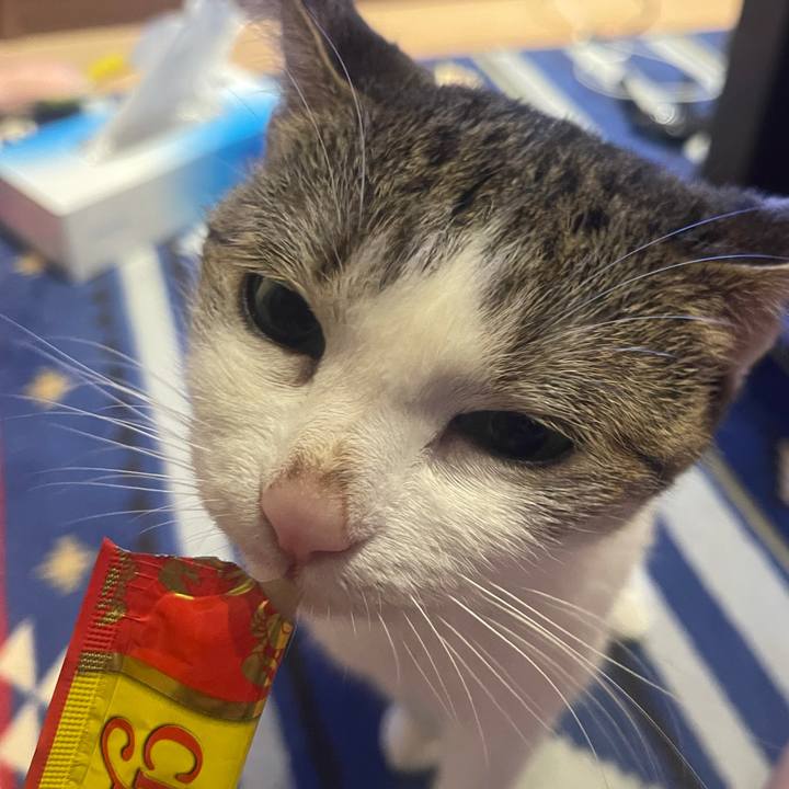 0eeafe2e b32c 4e93 8364 80ea2631eca9 1630662188809