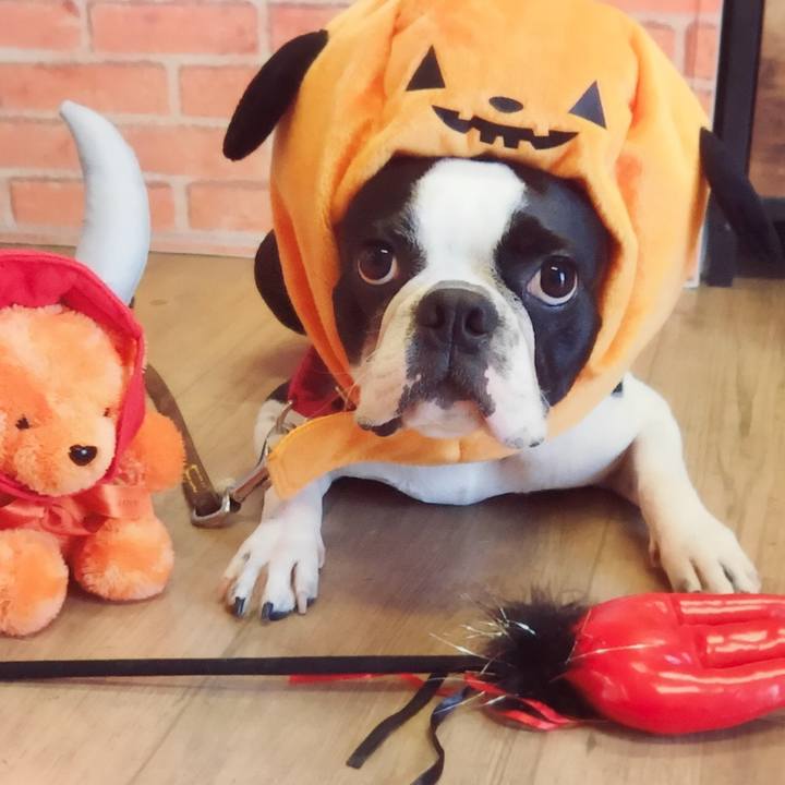 0eeb4921 b493 4d00 911b eea6b56d7b4c 1508642883351