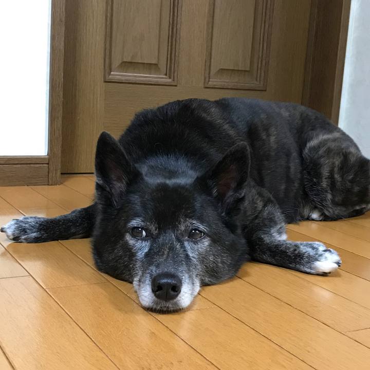 0eeb49fa 76e0 4700 9793 9d75d762b185 1508927207303