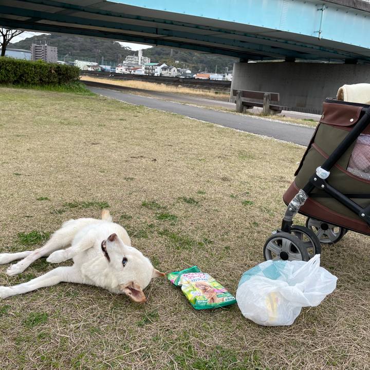 0eeba49e a255 49e6 8828 490e688d3cd9 1678966606744