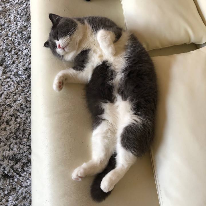 0eebc975 325c 48cf b3c8 4e14ab560c18 1548470348509