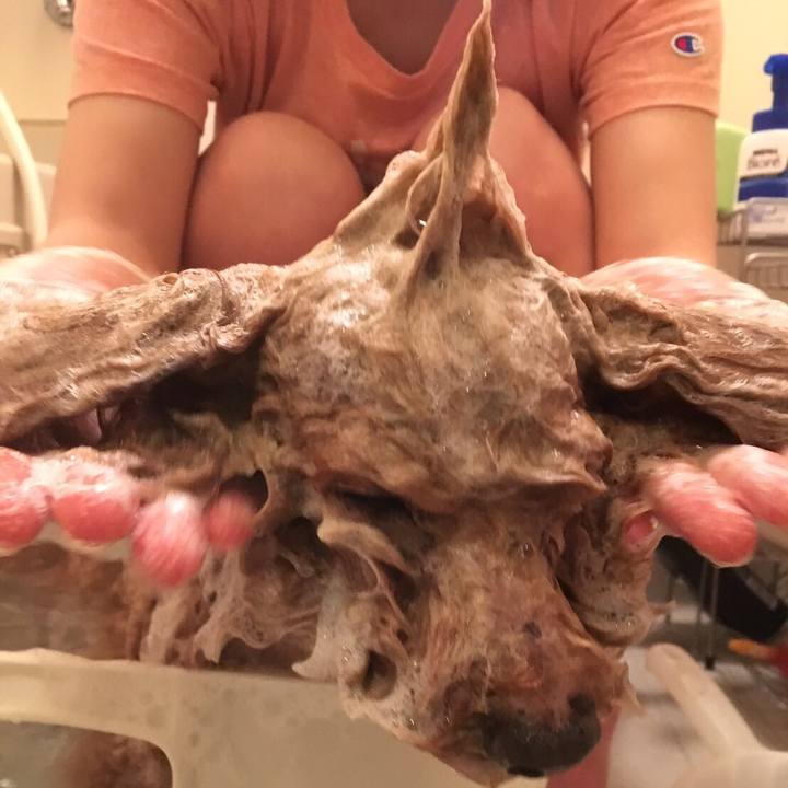 0eebd091 b64c 4cf3 a848 76944d5d882f 1549890744858