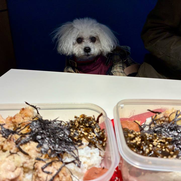 0eebd5fc 3d18 40ba 8615 680fb2288aa5 1766919986602